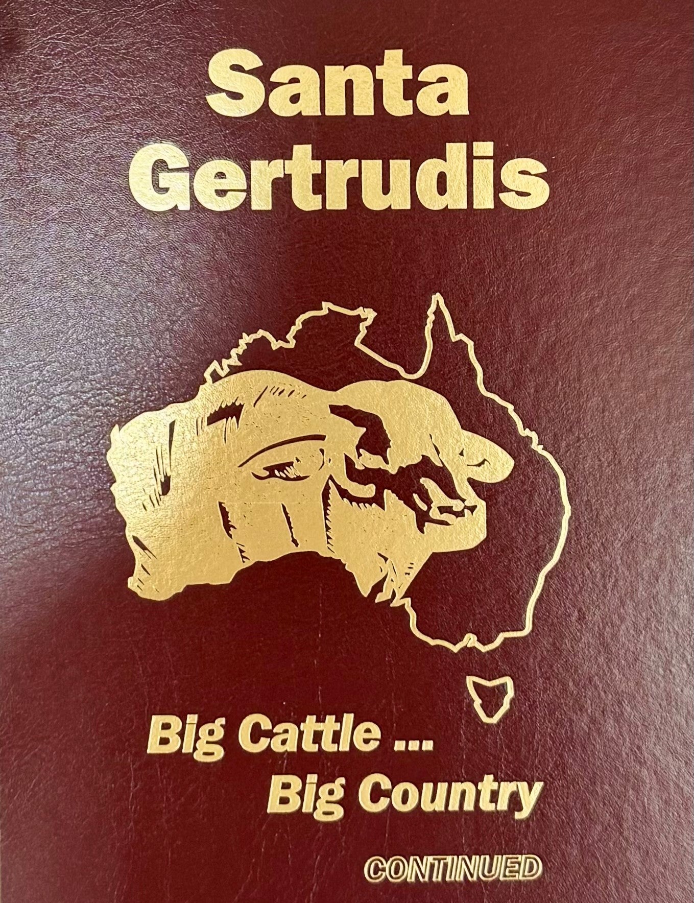 Big Cattle Big Country Continued 2024