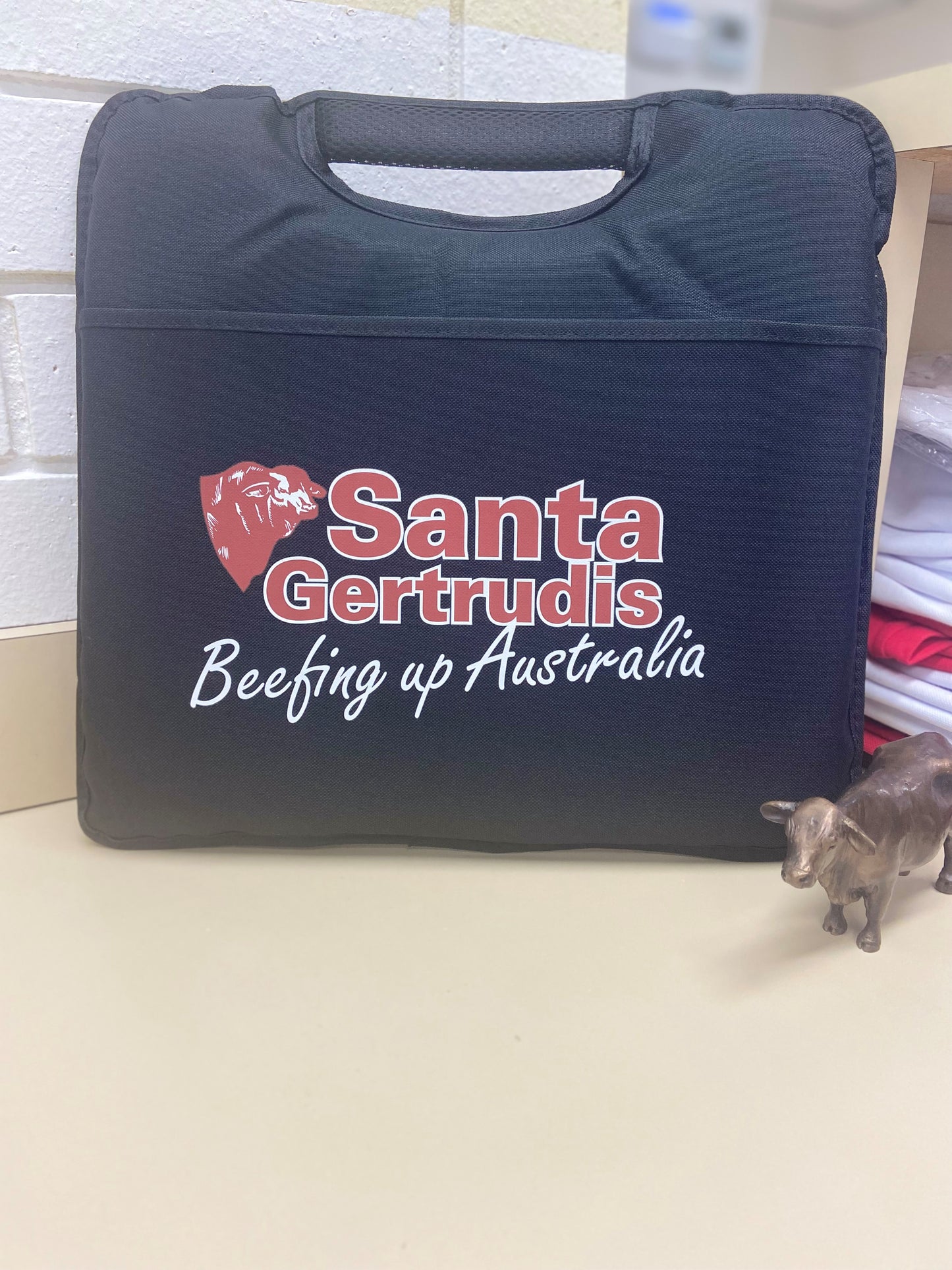 Santa Gertrudis Stadium Cushion