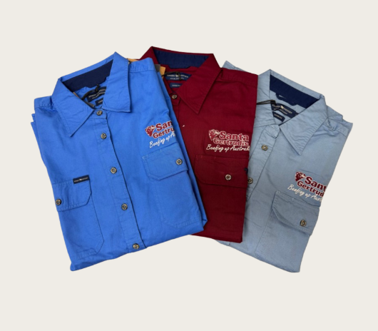 Work Shirt (Ladies) Full button