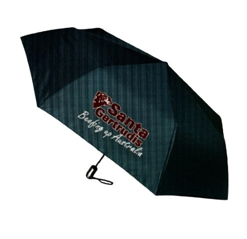 Compact Umbrella (Auto Open/Close)