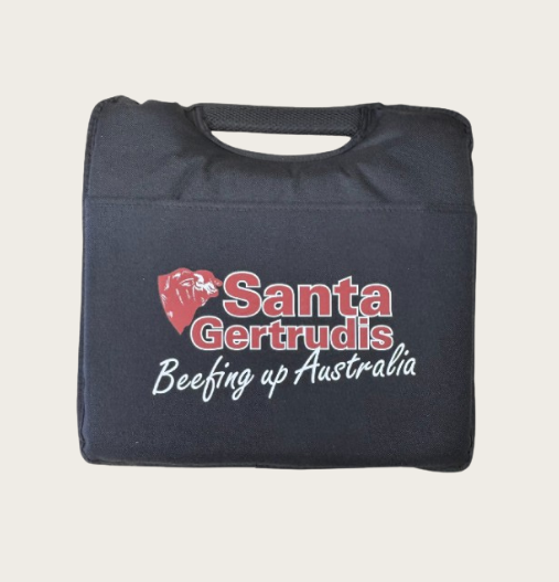 Stadium / Seat Cushion