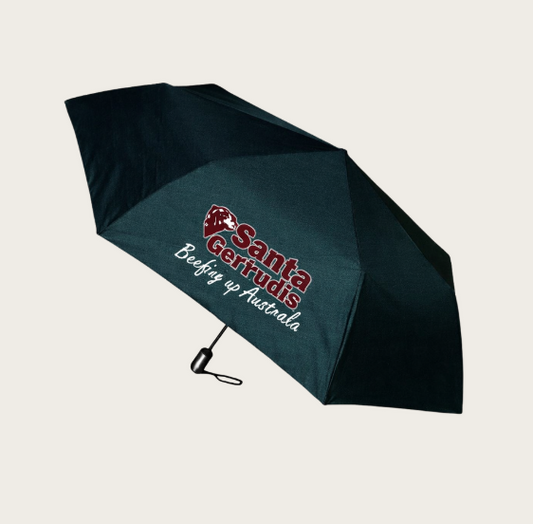 Umbrella - Compact (Auto Open/Close)